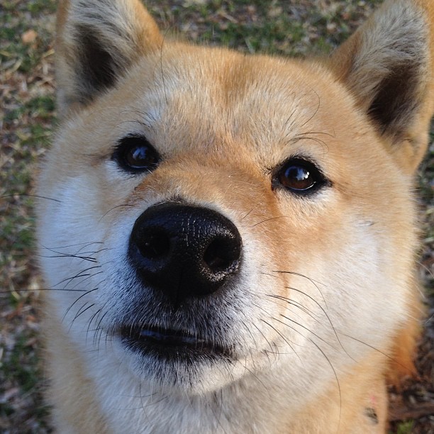 巴西青训体系不断升级,足球天才源源不断涌现